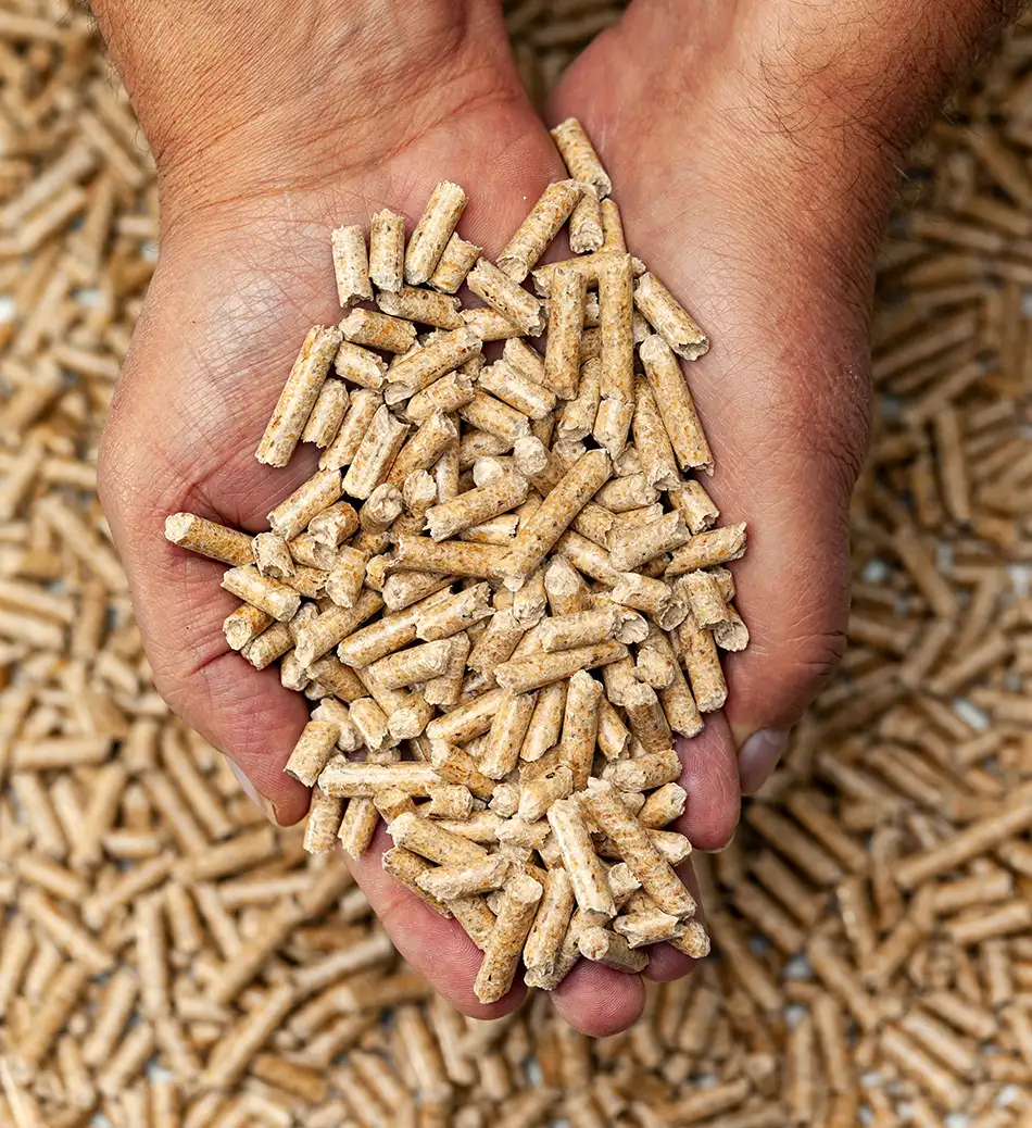 M-Energie-Holzpellets-oekologisch-nachhaltig-heizen-Recycling-Pellets-Altholz-A1